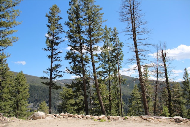 56 Kewanee Lode, Philipsburg, MT 59858