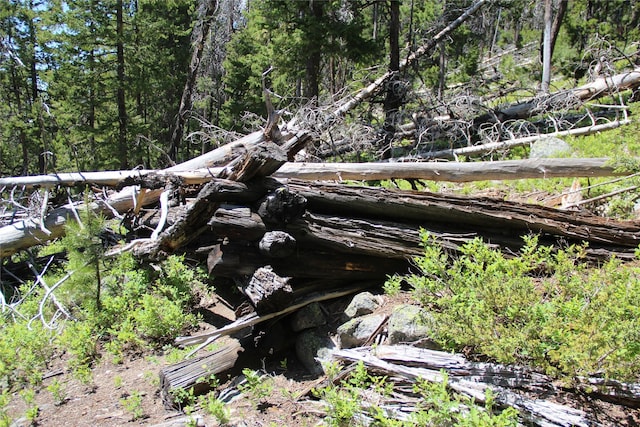 56 Kewanee Lode, Philipsburg, MT 59858