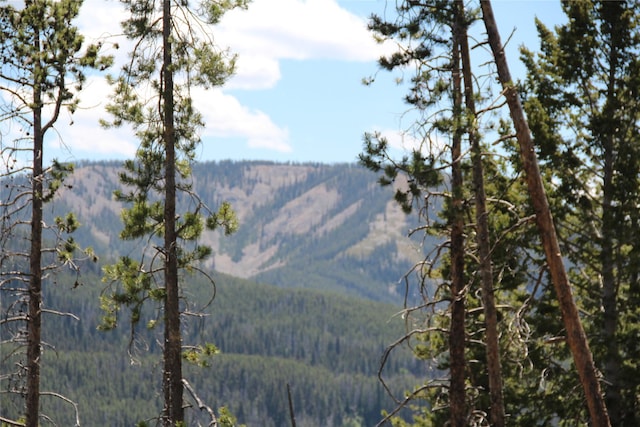 56 Kewanee Lode, Philipsburg, MT 59858