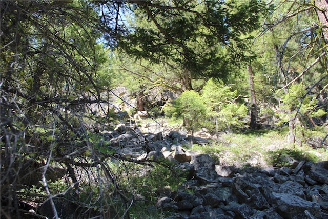 56 Kewanee Lode, Philipsburg, MT 59858