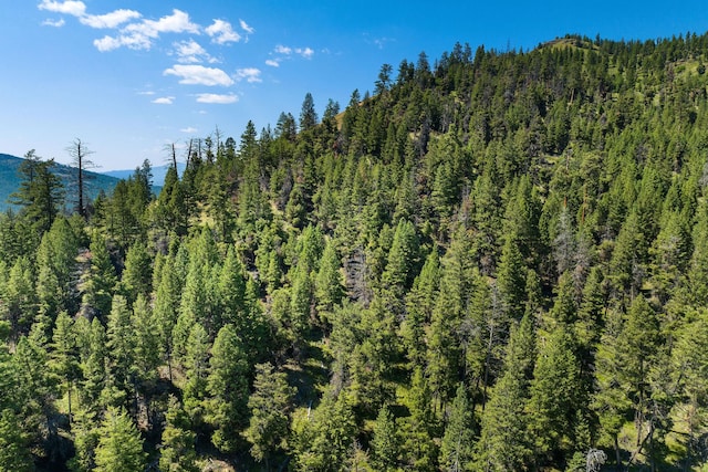 1805 Emmons Canyon Rd, Kila, MT 59920