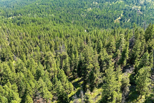 1805 Emmons Canyon Rd, Kila, MT 59920