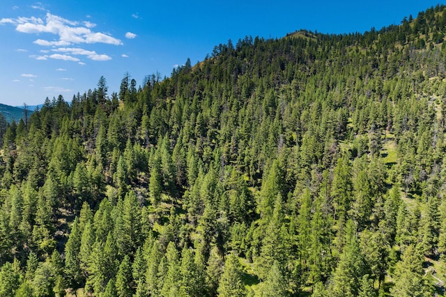 1805 Emmons Canyon Rd, Kila, MT 59920