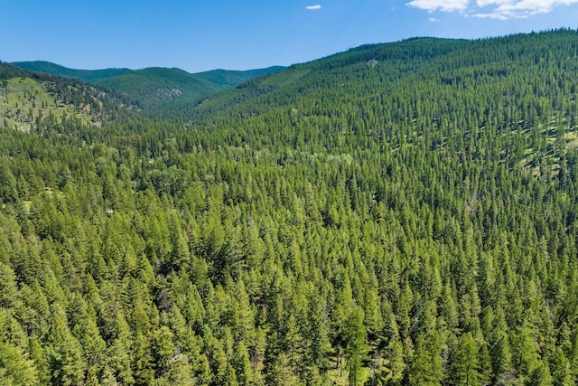 1805 Emmons Canyon Rd, Kila, MT 59920