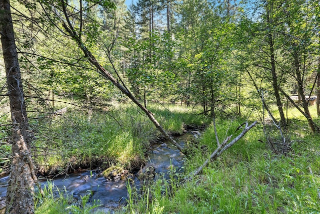 1805 Emmons Canyon Rd, Kila, MT 59920