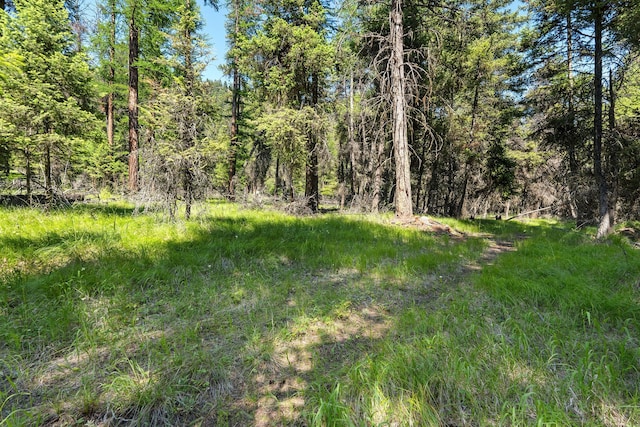 1805 Emmons Canyon Rd, Kila, MT 59920