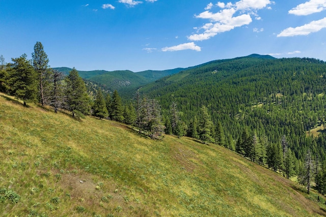 1805 Emmons Canyon Rd, Kila, MT 59920