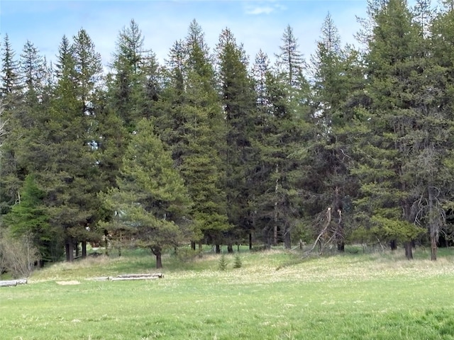 27687 Yaak River Rd, Troy, MT 59935 - view of yard featuring a wooded view