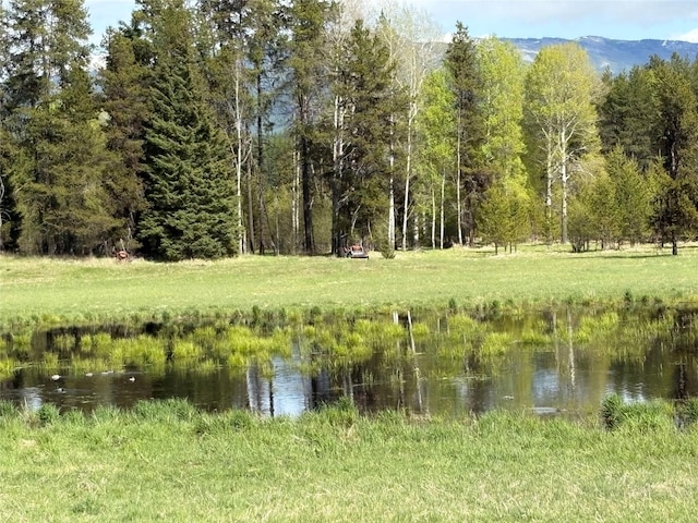 27687 Yaak River Rd, Troy, MT 59935 - view of woods featuring a water view