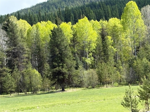 27687 Yaak River Rd, Troy, MT 59935 - aerial view of a heavily wooded area