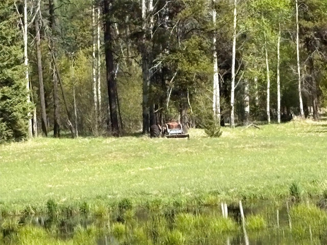 27687 Yaak River Rd, Troy, MT 59935 - view of woods