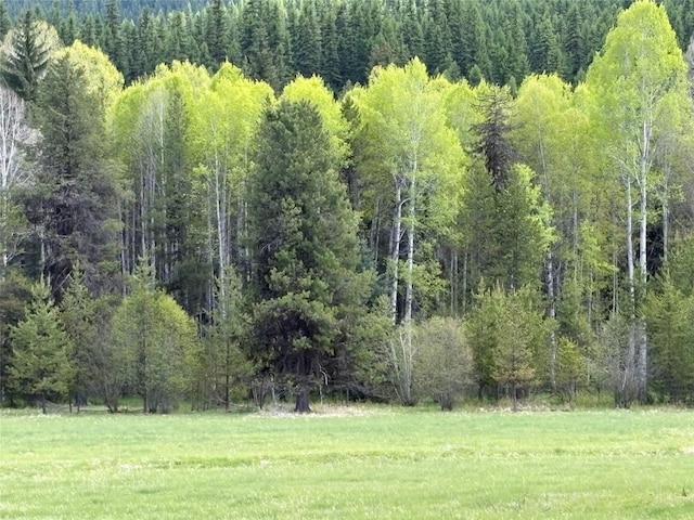 27687 Yaak River Rd, Troy, MT 59935 - view of green lawn featuring a wooded view