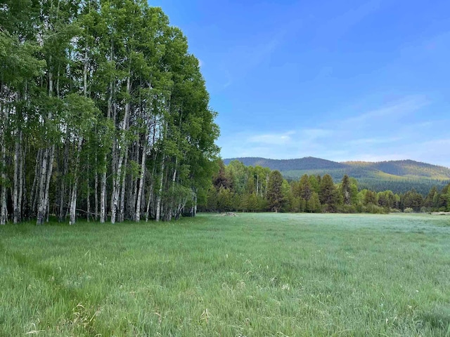 27687 Yaak River Rd, Troy, MT 59935 - view of yard with a mountain view and a forest view