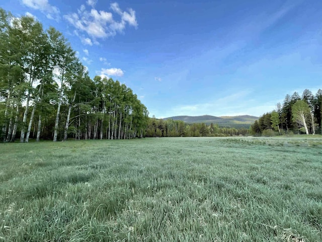 27687 Yaak River Rd, Troy, MT 59935 - view of yard featuring a mountain view and a wooded view