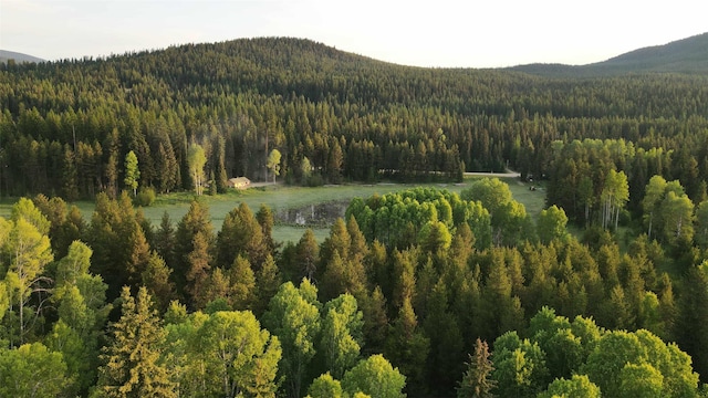 27687 Yaak River Rd, Troy, MT 59935 - mountain view featuring a forest
