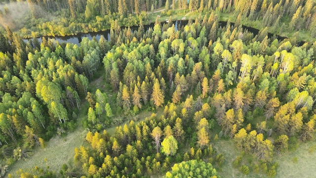 27687 Yaak River Rd, Troy, MT 59935 - bird's eye view of a heavily wooded area and a large body of water