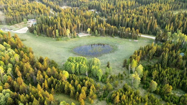 27687 Yaak River Rd, Troy, MT 59935 - view of property location featuring a heavily wooded area