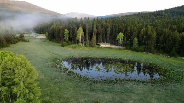 27687 Yaak River Rd, Troy, MT 59935 - water view with a mountainous background and a forest