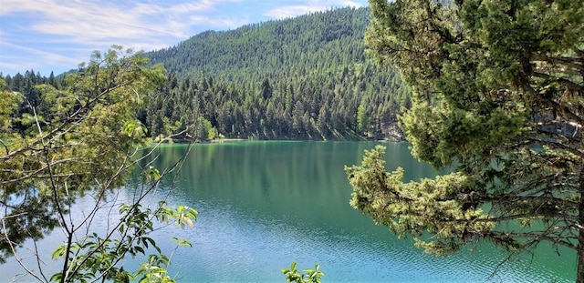 NHN Emerald Lake Loop, Seeley Lake, MT 59868