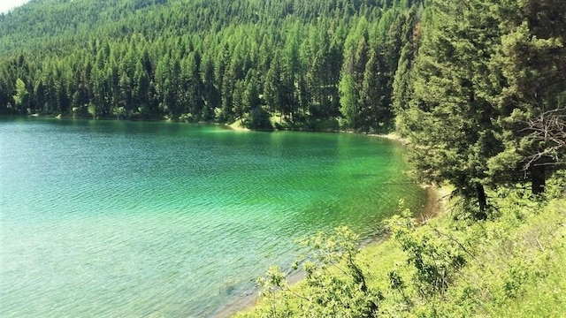 NHN Emerald Lake Loop, Seeley Lake, MT 59868