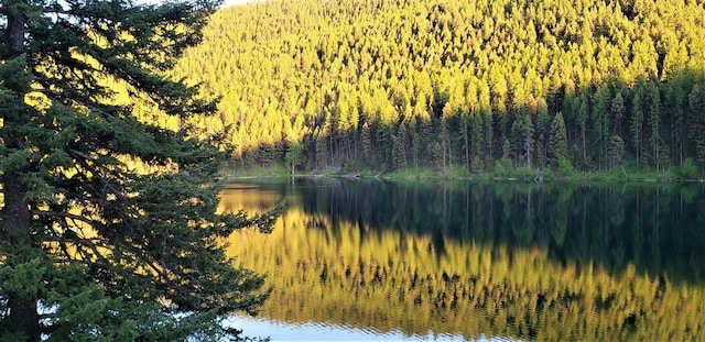 NHN Emerald Lake Loop, Seeley Lake, MT 59868