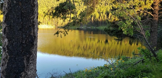NHN Emerald Lake Loop, Seeley Lake, MT 59868