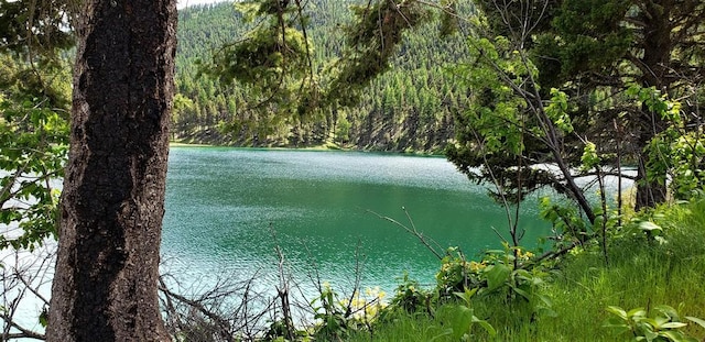 NHN Emerald Lake Loop, Seeley Lake, MT 59868