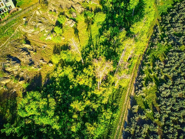 396 Wild Moose Springs Rd, Corvallis, MT 59828 - aerial view