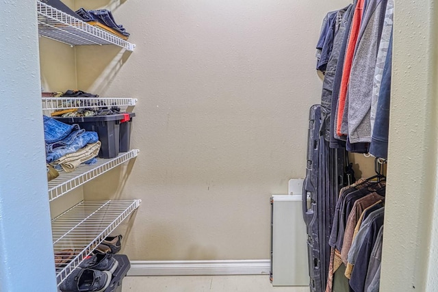 396 Wild Moose Springs Rd, Corvallis, MT 59828 - view of walk in closet