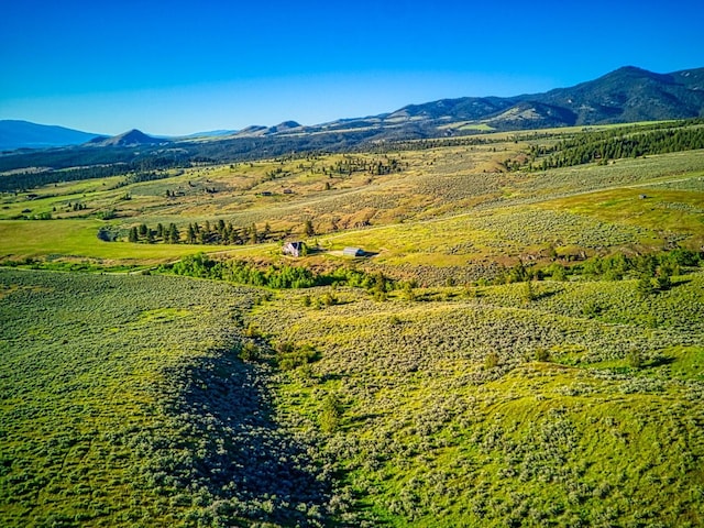 396 Wild Moose Springs Rd, Corvallis, MT 59828 - view of mountain backdrop