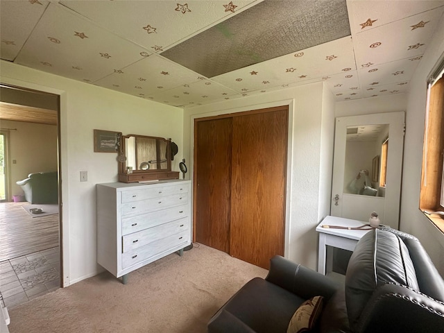 952 Chestnut Ave, Highwood, MT 59450 - bedroom with a closet and light carpet
