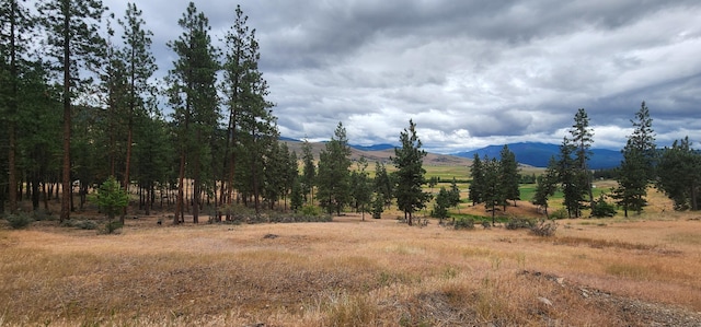 9 Cross Ln, Plains, MT 59859 - view of mountain background with rural landscape