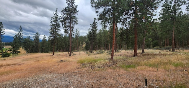 9 Cross Ln, Plains, MT 59859 - view of woods