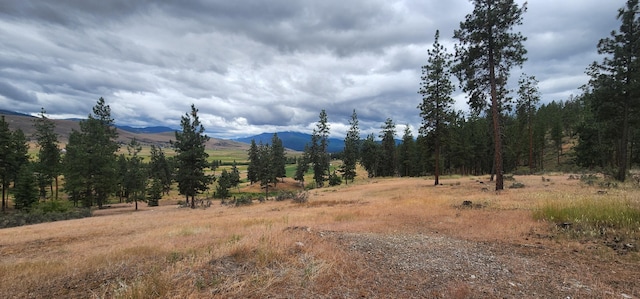 9 Cross Ln, Plains, MT 59859 - mountain view with rural landscape