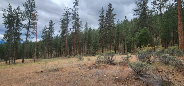 9 Cross Ln, Plains, MT 59859 - view of woods