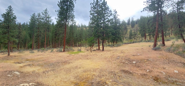 9 Cross Ln, Plains, MT 59859 - view of woods