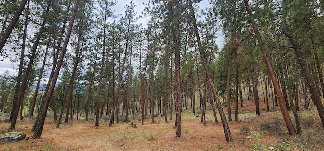 9 Cross Ln, Plains, MT 59859 - view of tree filled area