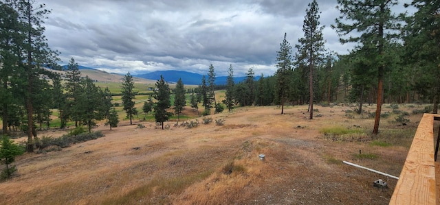 9 Cross Ln, Plains, MT 59859 - mountain view featuring rural landscape