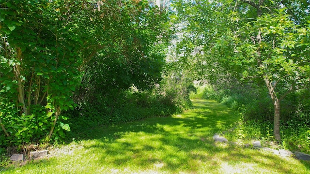 251 Elk Trl, Whitefish, MT 59937 - view of green lawn