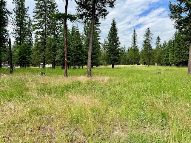 676 Rawlings Rd, Libby, MT 59923 - view of tree filled area