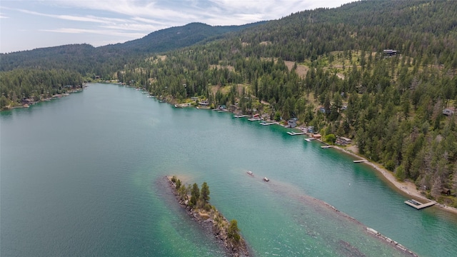 29276 White Swan Rd, Polson, MT 59860 - aerial view of a forest and a water and mountain view