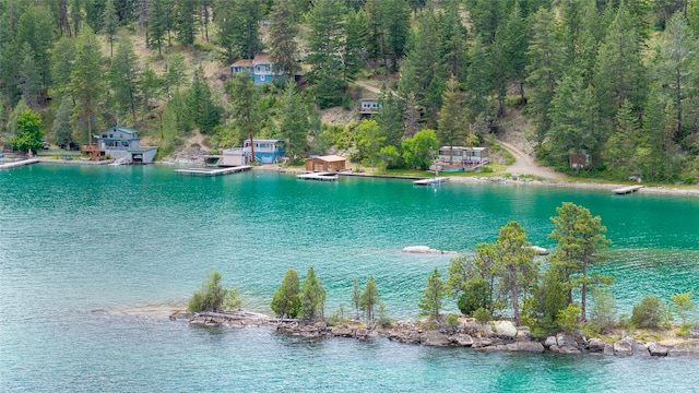 29276 White Swan Rd, Polson, MT 59860 - water view with a heavily wooded area
