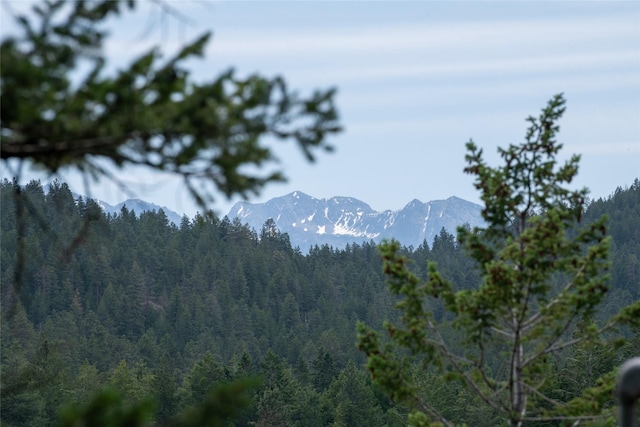 29276 White Swan Rd, Polson, MT 59860 - view of mountain backdrop with a forest