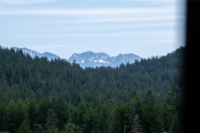 29276 White Swan Rd, Polson, MT 59860 - mountain view with a forest