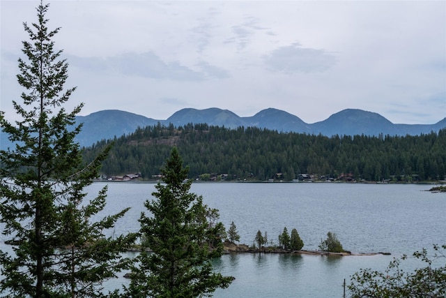 29276 White Swan Rd, Polson, MT 59860 - water view featuring a forest and a mountain backdrop