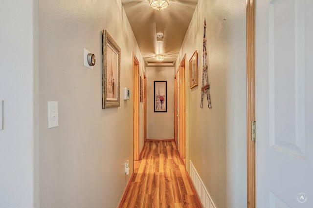 5835 Winter Wheat Dr, Helena, MT 59602 - hall featuring light wood-type flooring