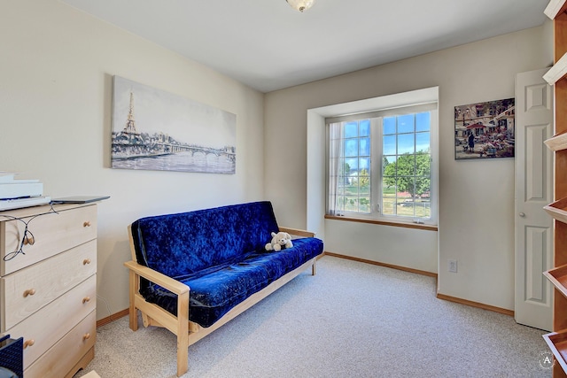5835 Winter Wheat Dr, Helena, MT 59602 - living area with baseboards and carpet flooring
