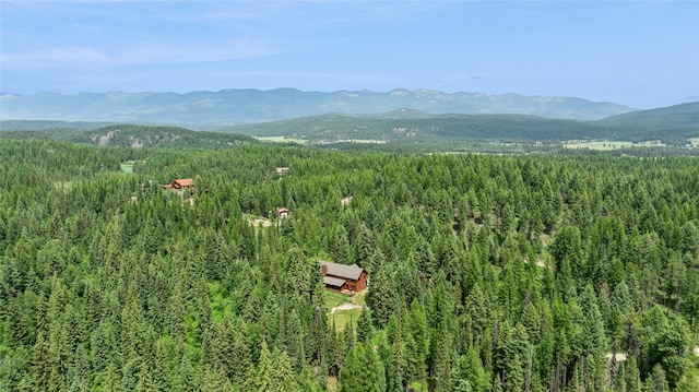 220 Cliff Creek Rd, Whitefish, MT 59937 - view of mountain background with a heavily wooded area