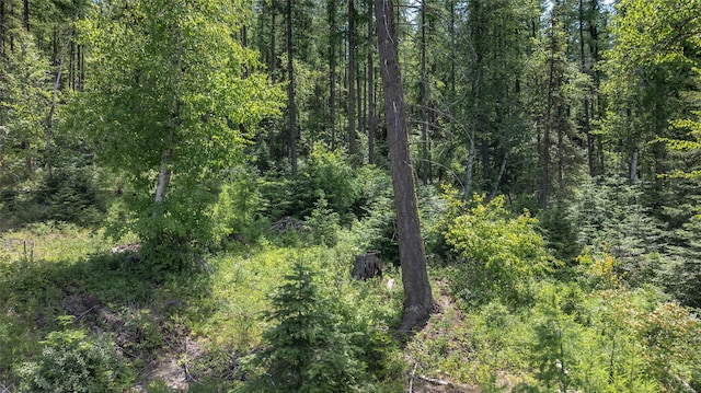 430 Highline Ct, Whitefish, MT 59937