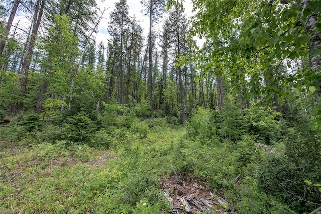 430 Highline Ct, Whitefish, MT 59937